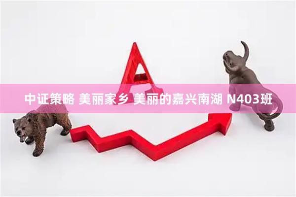 中证策略 美丽家乡 美丽的嘉兴南湖 N403班