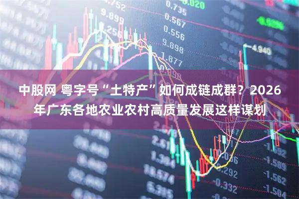 中股网 粤字号“土特产”如何成链成群?2026年广东各地农业农村高质量发展这样谋划
